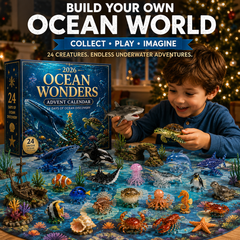 2026 Ocean Wonders Advent Calendar